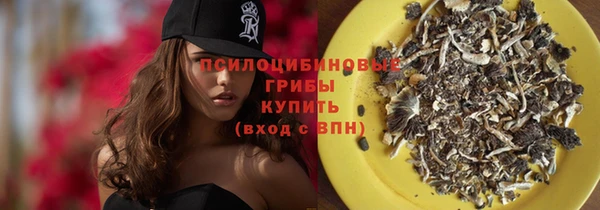 гидра Белоозёрский