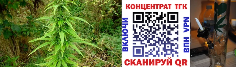 Купить  Чекалин  Дистиллят ТГК гашишное масло 