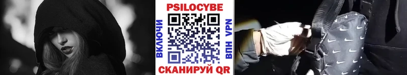 Купить закладки  Чекалин  Галлюциногенные грибы Cubensis 